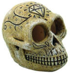 SuperFish | SKULL MONKEY | Majom koponya - 8x6x6 cm