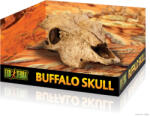 Exo Terra Buffalo Skull | Bölény koponya - nagy