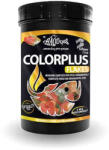 Haquoss | Color Plus Flakes | Teljes értékű lemezes táp édesvízi halaknak - 100 ml