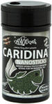 Haquoss | Caridina Nanosticks | Teljes értékű mikrorúd táp kardinál és törperákfélék számár - 100 ml