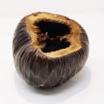 Pet King Pet King| Talami| természetes dekor terráriumba - XL- 1 db