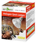 Repti Zoo Halogén Spot | Melegítő izzó - 50 W