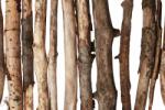 DIMEX ART Fototapetă vlies crenuțe de lemn 375 x 250 cm