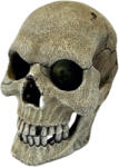 Repto Deco Human Skull | Emberi műkoponya XL