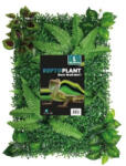 Repto | PLANT BACK WALL MAT | Növény háttér fal - 40-60 cm 1