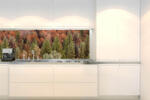DIMEX ART Fototapet pentru bucătărie - dumbravă de pini colorată 180 x 60 cm