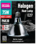 Arcadia | Halogen Basking Spot | Hatékony halogén melegítő izzó nappali hüllők és kétéltűek számára - 75 W
