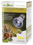 Repti Zoo Day light Spot Neodimyum | melegítő izzó - 50 W