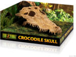 Exo Terra Crocodile Skull | Krokodil koponya