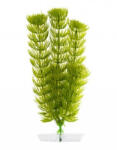 JK | Anacharis, műnővény dekoráció - 18-21 cm