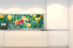 DIMEX ART Fototapet pentru bucătărie - lalele 180 x 60 cm