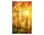 DIMEX ART Fototapetă vlies pădure însorită 150 x 250 cm