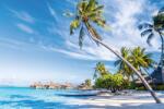 DIMEX ART Fototapetă vlies palmier pe bora bora 375 x 250 cm