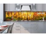 DIMEX ART Fototapet pentru bucătărie - pădure însorită 260 x 60 cm