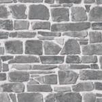 RASCH Tapet de hârtie pentru perete rasch top collection 265620