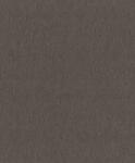 RASCH Tapet vlies de perete rasch incanto 608625