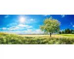 DIMEX ART Fototapet panoramic vlies cu copac în pajiște 375 x 150 cm