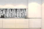 DIMEX ART Fototapet pentru bucătărie - iarbă alb-negru 180 x 60 cm