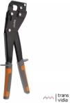 Kapriol 25656 Cleste