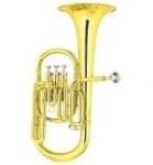 Garry Paul GP6490L altkürt