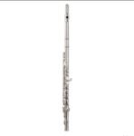 Garry Paul fuvola GP-6456SE