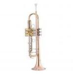  Garry Paul GP-TR-8334QSN Bb trombita
