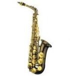 Garry Paul GP-6430BN alt szaxofon