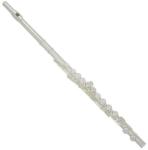 Trevor James Trevor J. James 31CF-ROEA Cantabile fuvola, ezüst fejes nyitott