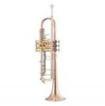 Garry Paul GP TR-8332QSN Bb trombita