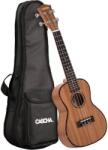  Cascha HH 2036 DE Premium Mahogany Concert Ukulele Bundle