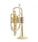  Garry Paul GP-CR-8358S kornett