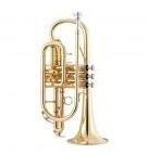  Garry Paul GP-CR-8356S kornett