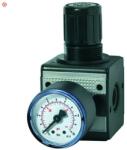 RIEGLER Regulator de presiune multifix cu manometru, 0.5-10 bar, G3/8", 1500 l/min, DN 10, RIEGLER (R12-10) - bricolaj-mag