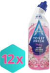 Astonish WC frissítő gél bazsarózsa illattal 750 ml KARTON - 12 db (DA503XSZASK5060060213593)
