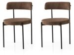 ASIR GROUP Étkezőszék Szett 2 db Gını - 4019 V2