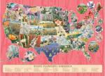 Cobble Hill 40315 - State Flowers of America - 1000 db-os puzzle (40315)