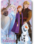  Disney Jégvarázs Winter Friends polár takaró 100x140cm (FML367239) - oliviashop