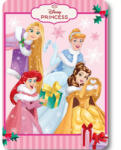  Disney Hercegnők Festive Fairy Karácsony polár takaró 100x140cm (FML370673)