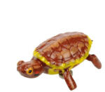  BlueBug | 3D mágnes dobozban | Teknős