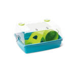 JK Junior Deluxe | Műanyag | Rágcsáló ketrec | Kék, szürke - 42x34x22 cm