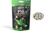 Haquoss | P10 Roots Nutrient | Speciálisan kifejlesztett tápanyagtabletta - 100 db