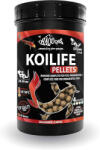 Haquoss | Koilife Pellets | Teljes értékű lebegő haltáp koi pontyok és tavi díszhalak számára - 1000 ml