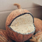 Pet King Vogelpick Kókusz 3/4-es töltött téli madáreleség