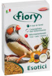 Fiory | Mixture for Exotic birds | Mag keverék, egzotikus madaraknak - 1 Kg