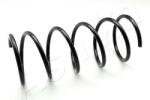 ASHIKA Arc spiral ASHIKA ZCA1749A (ZCA1749A) - automobilus