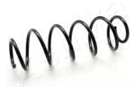 ASHIKA Arc spiral ASHIKA ZCA6395H (ZCA6395H) - automobilus