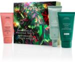 Aveda Holiday Mini Miracles Masque Trio karácsonyi ajándékszett hajra