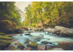  Vászonfestmény Gyönyörű patak Erdővíz, 80x50cm, vászonfestmény155, Többszínű (tabloucanvas155/50x80cm)