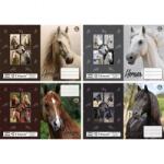 T-Creativ Lovas füzetborító - T-Creatív - 4x5 darabos (N12068THO)