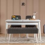 ASIR GROUP Étkezőgarnitúra Kihúzható Asztal, Szék 4 db Vina 1053 - 3 - Antracit, Fehér